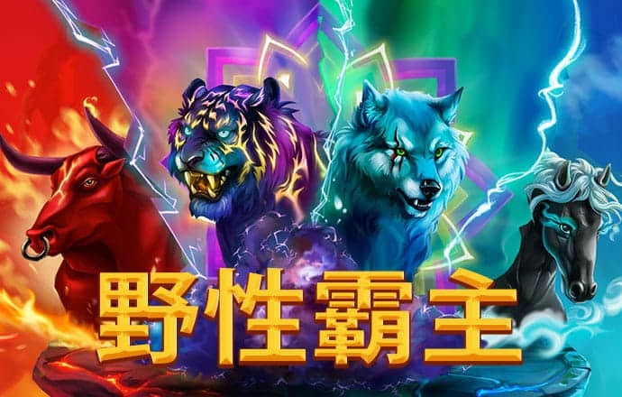BOB体育综合官方平台APP